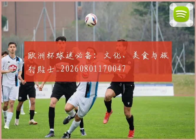 欧洲杯球迷必备:文化、美食与旅行贴士_20260801170047